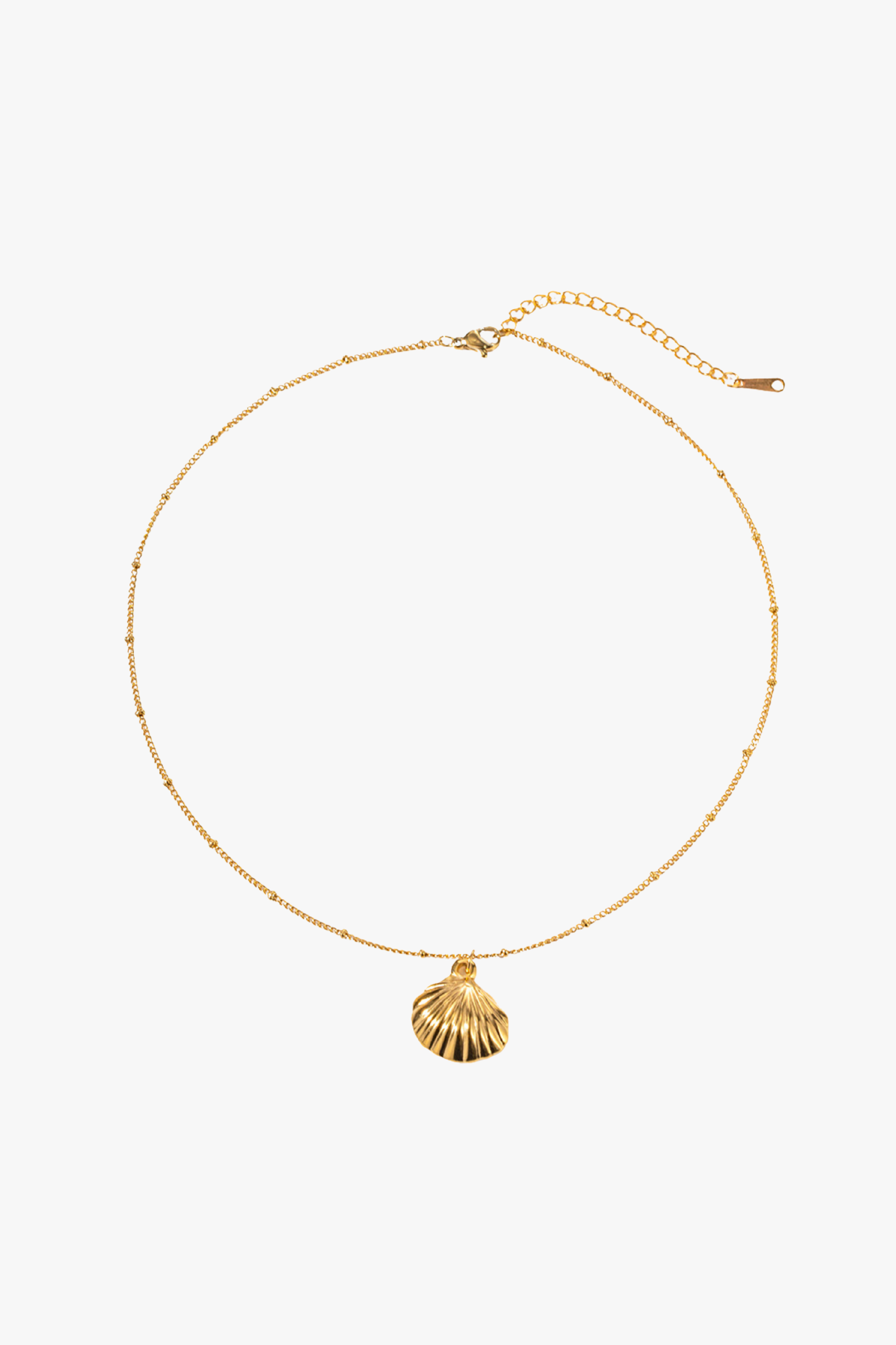 Shell Statement Necklace null