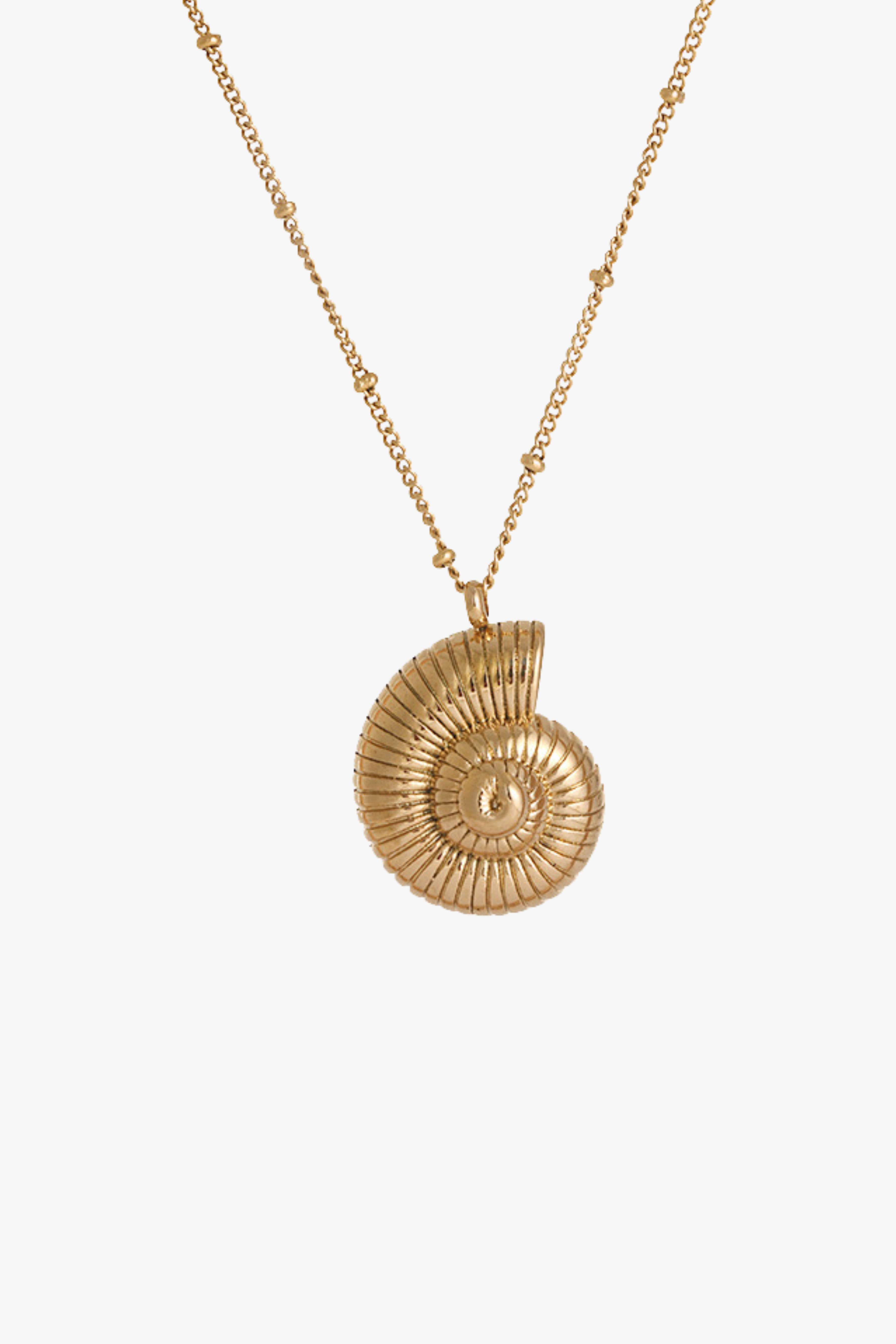 Coastal Conch Necklace null