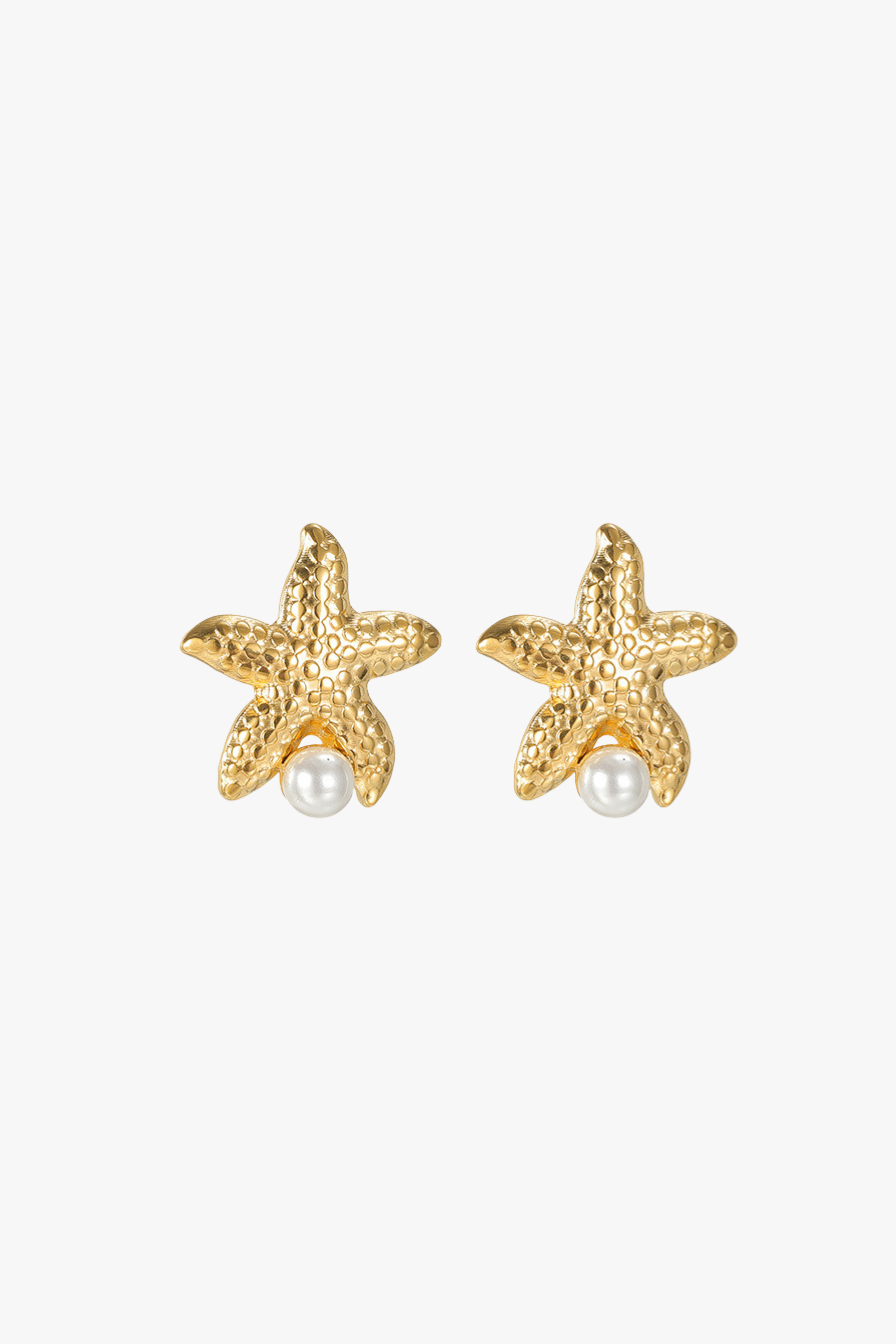 Shell Earrings null